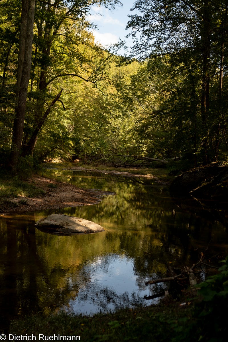 Scenic view of Gunpowder Park, MD