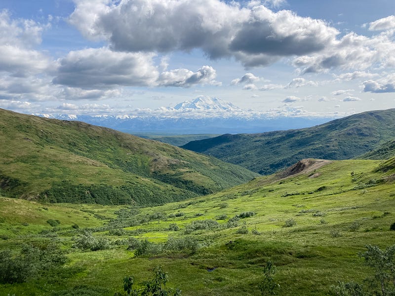 Captivating views on an Alaskan cruise