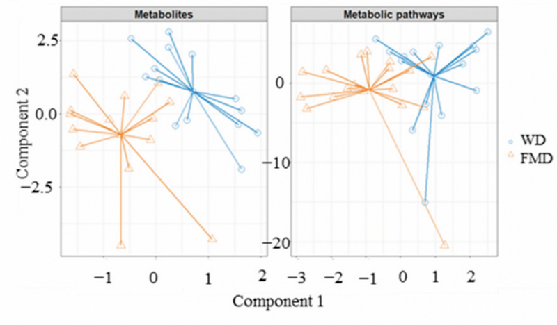 Gut microbiome activity based on dietary changes