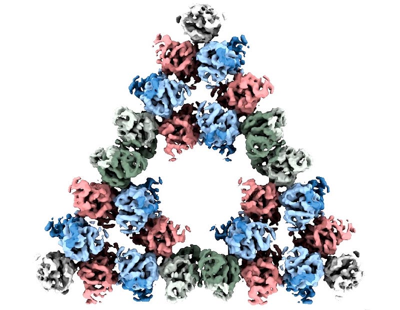 Cryo-electron microscopy of a fractal protein structure