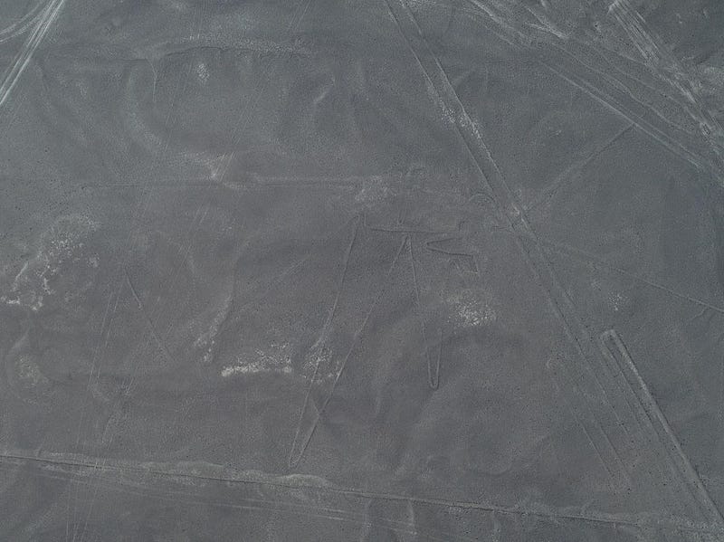 Geoglyph of fish