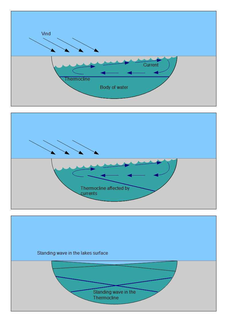 Diagram illustrating thermocline and halocline interactions