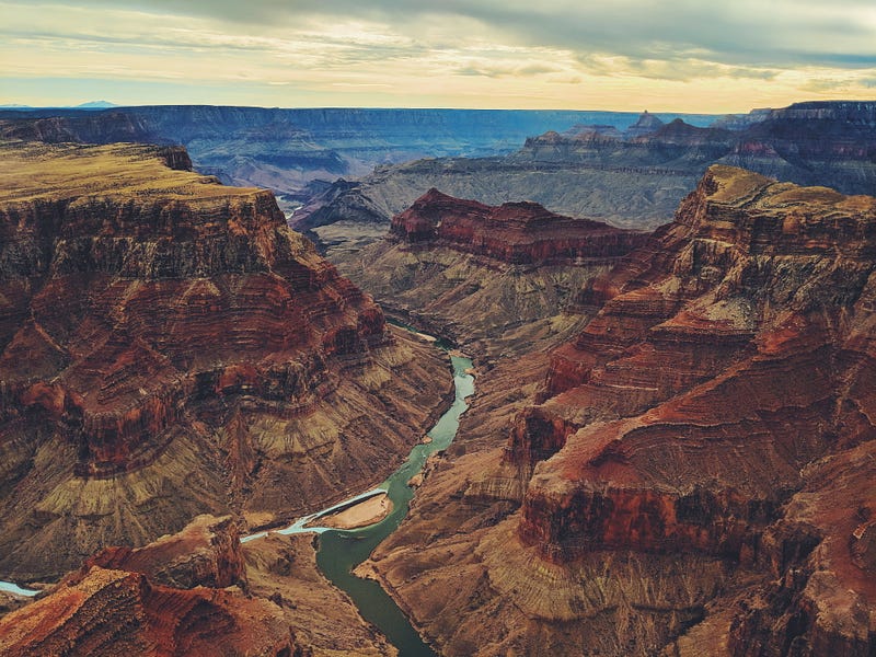 Wildlife in the Grand Canyon