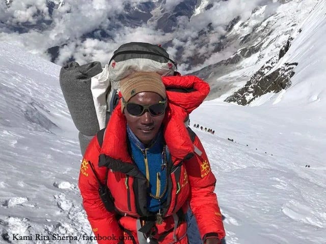 Sherpas, adapted to high altitudes