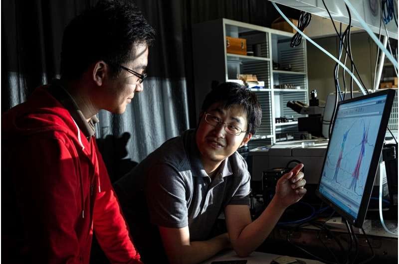 Researchers Xinwei Li and Weilu Gao in Kono's lab