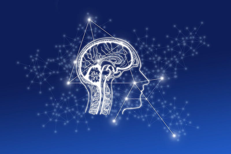 Aging brain illustration depicting changes over time