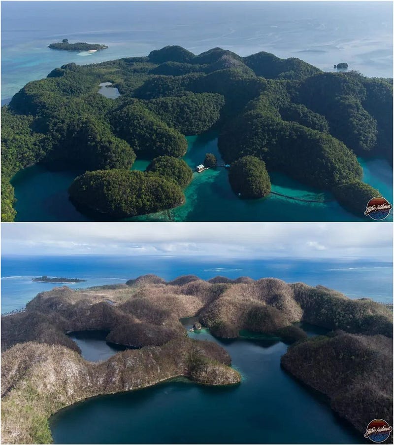 Transformation of Siargao Island post-typhoon