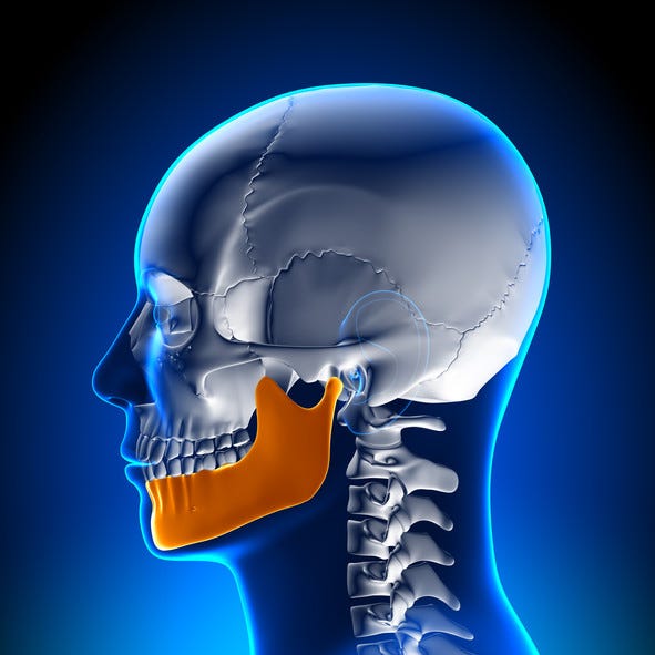 Human jaw movement capabilities